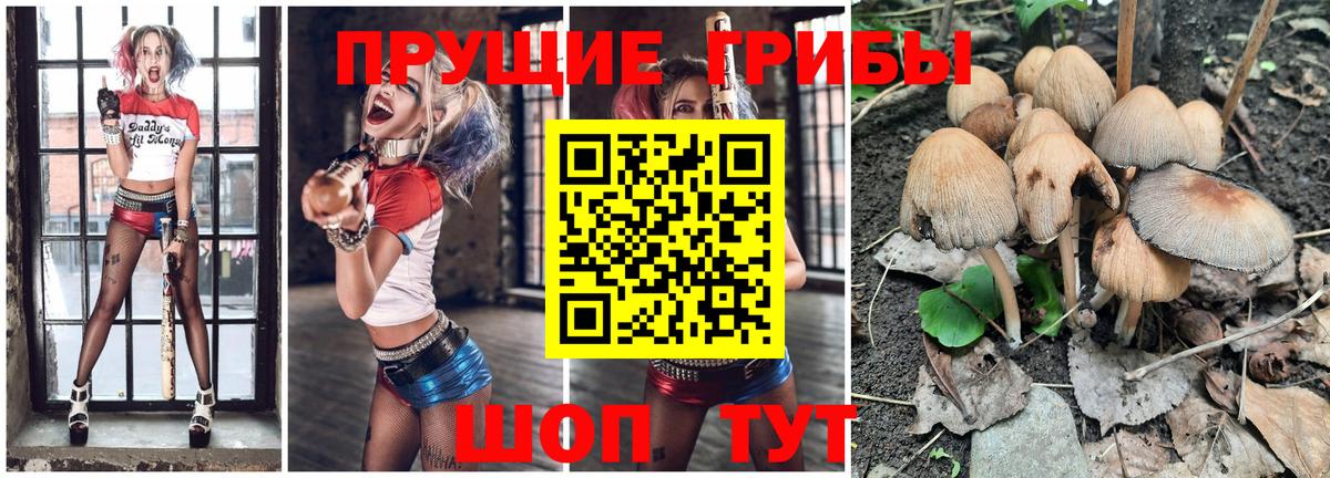 Димитровград  Галлюциногенные грибы MAGIC MUSHROOMS  Вход с VPN 